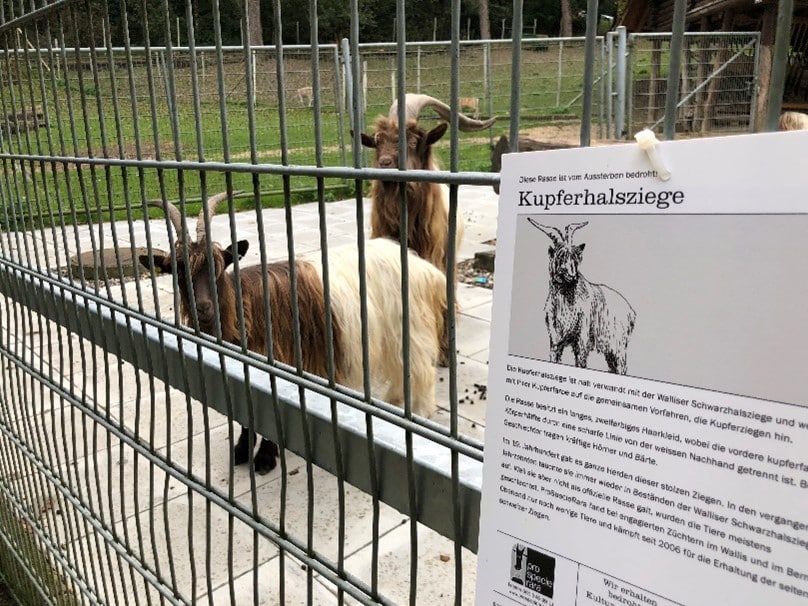 News aus dem Tierpark